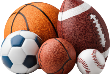 Sports & Physical Education